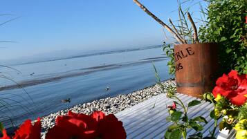 A coastal view with a metal planter labeled "ERLE NOUS" and red flowers in the foreground.