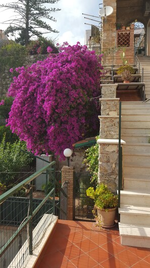 A balcony with a stone wall, a potted plant, and a staircase. - Apartment/ flat - Taormina (Taormina)