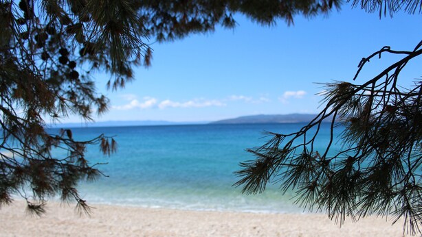 Une plage à l’eau d’un bleu limpide, avec un rivage sablonneux et des branches de pins encadrant le paysage.