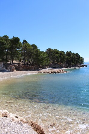 Playa en los alrededores 
