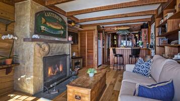 TV, perapian, dan pemutar DVD