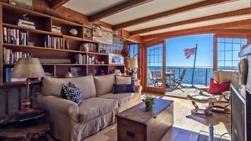 TV, perapian, dan pemutar DVD