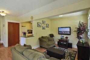 薄型テレビ、テレビゲーム機、DVD プレーヤー、ステレオ