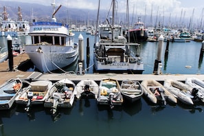 Lake - Le Petit Bijou (Santa Barbara)