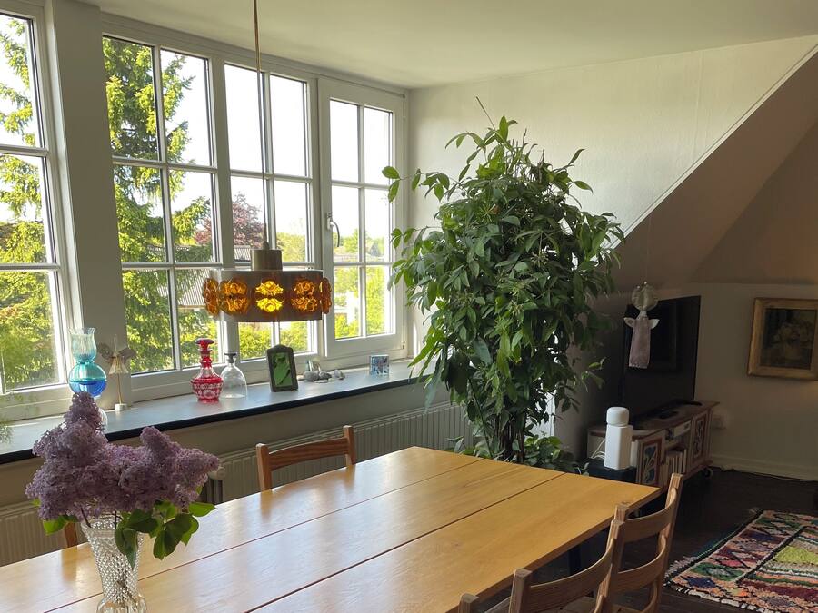 A dining area with a wooden table and chairs, a large window with a view of trees, a hanging plant, and a colorful rug.