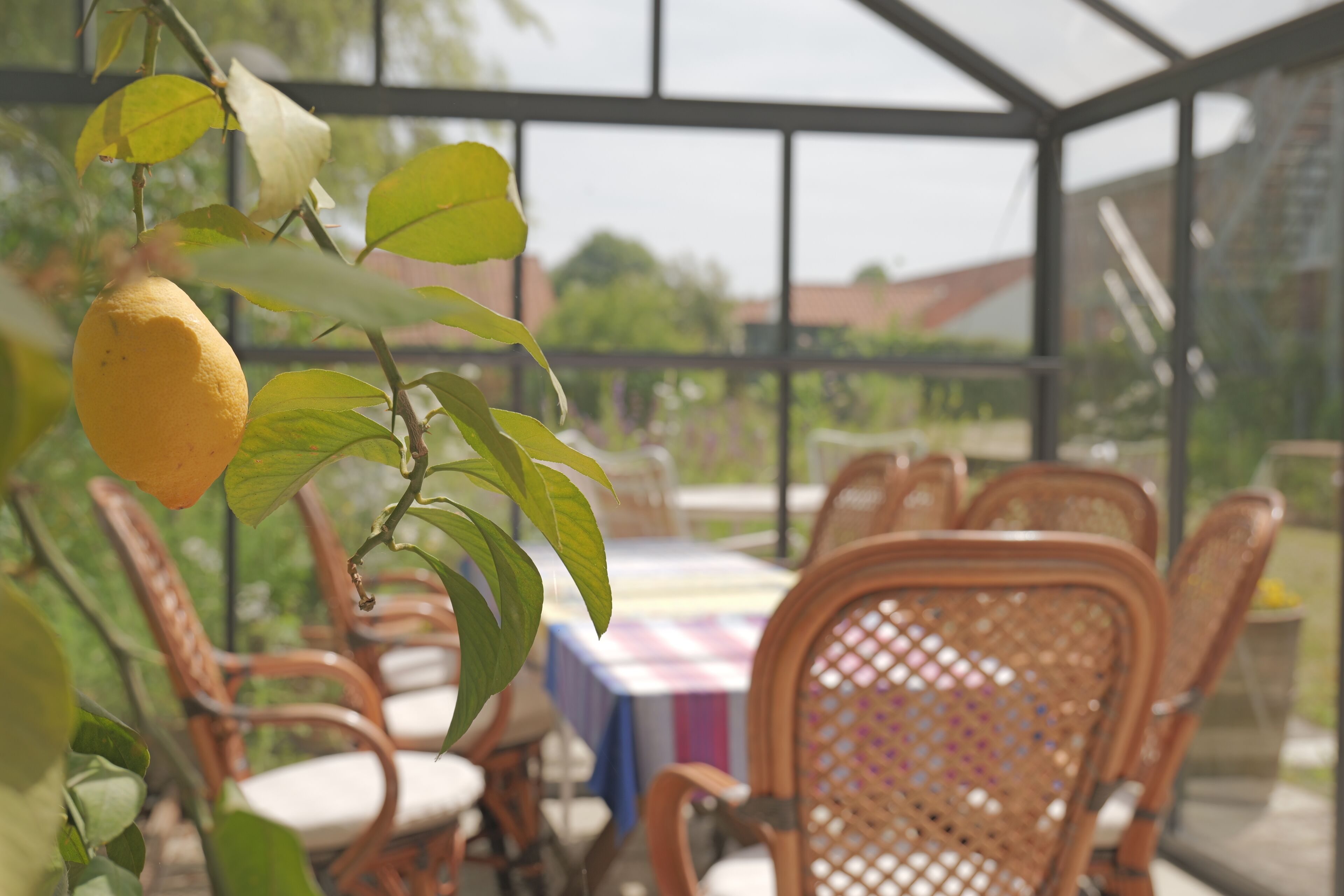 Een overdekt terras met rieten stoelen en een tafel, omgeven door groen en met uitzicht op gebouwen.