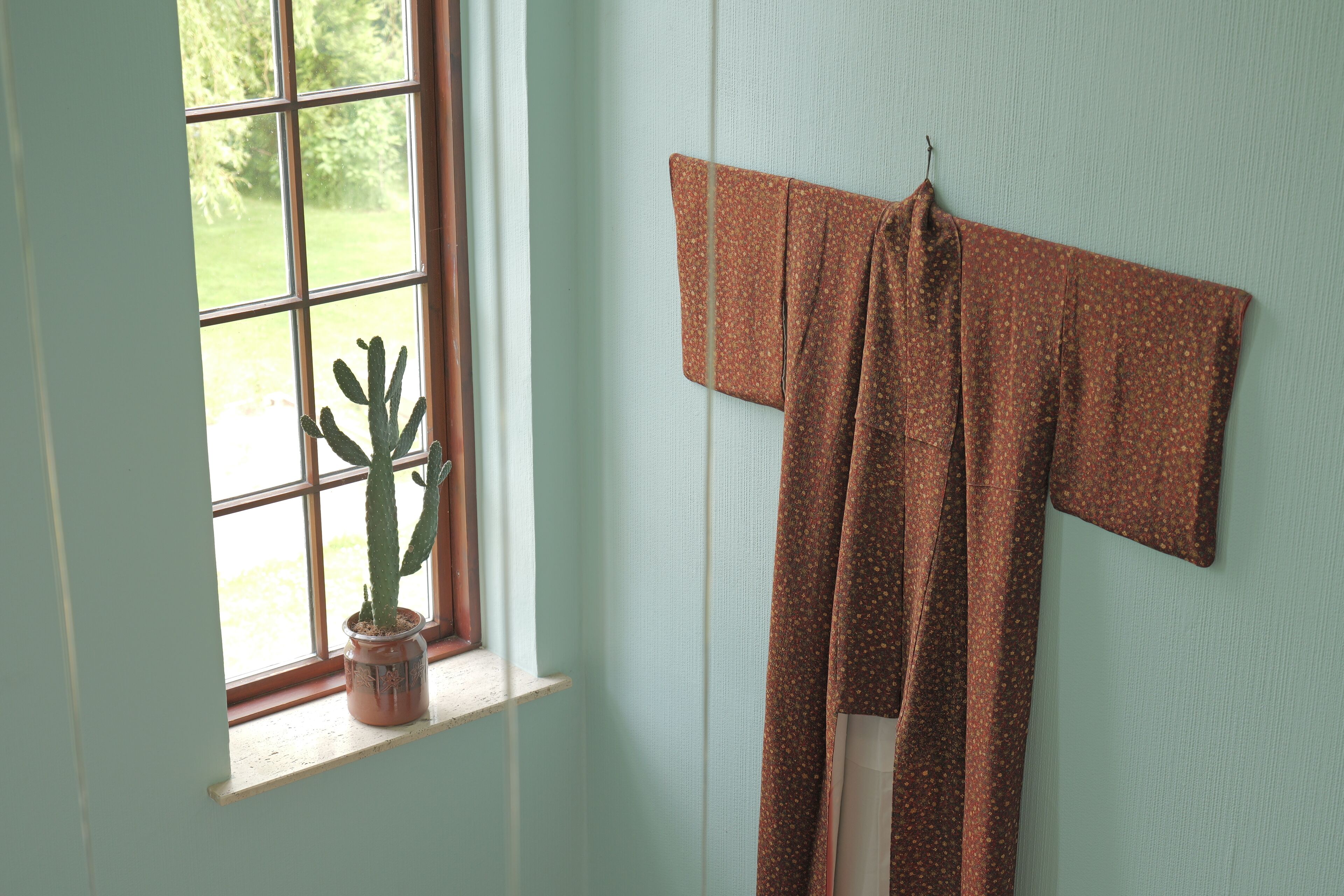 Une fenêtre avec un cactus, un vêtement suspendu et un mur de couleur vert clair.
