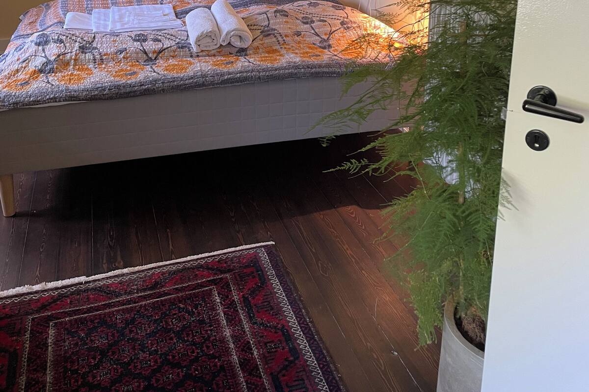 Un dormitorio con cama, mesita de noche, planta en maceta y una puerta.