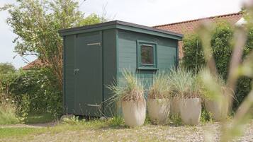 A small, green shed with a window, surrounded by tall grass and plants.