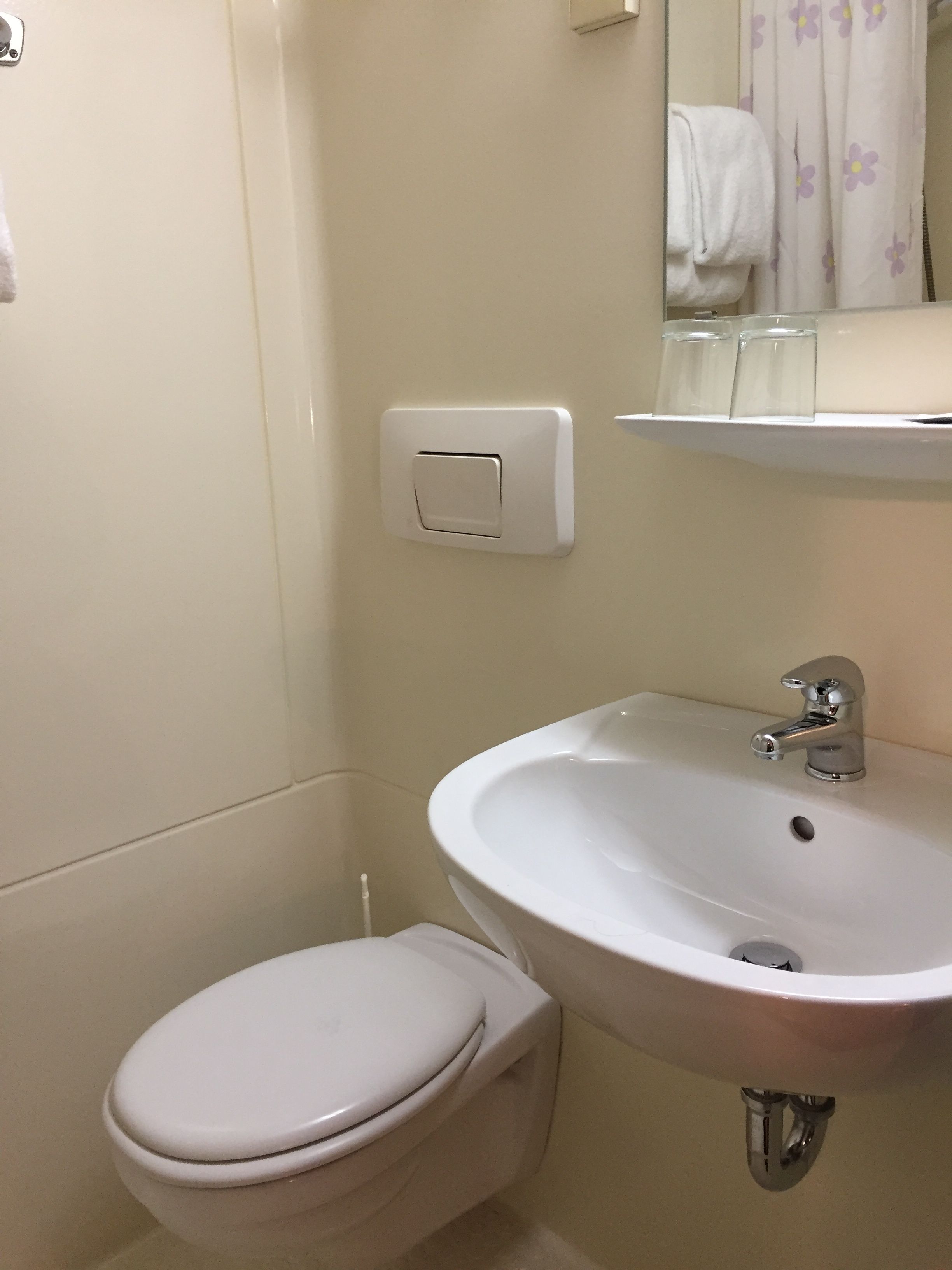 A bathroom with a toilet, a sink, and a mirror.