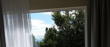 A room with a bed, a window with curtains, and a view of trees and a building outside.