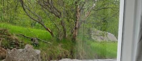 Bureau, rideaux dâobscurcissement, systĂšme dâinsonorisation