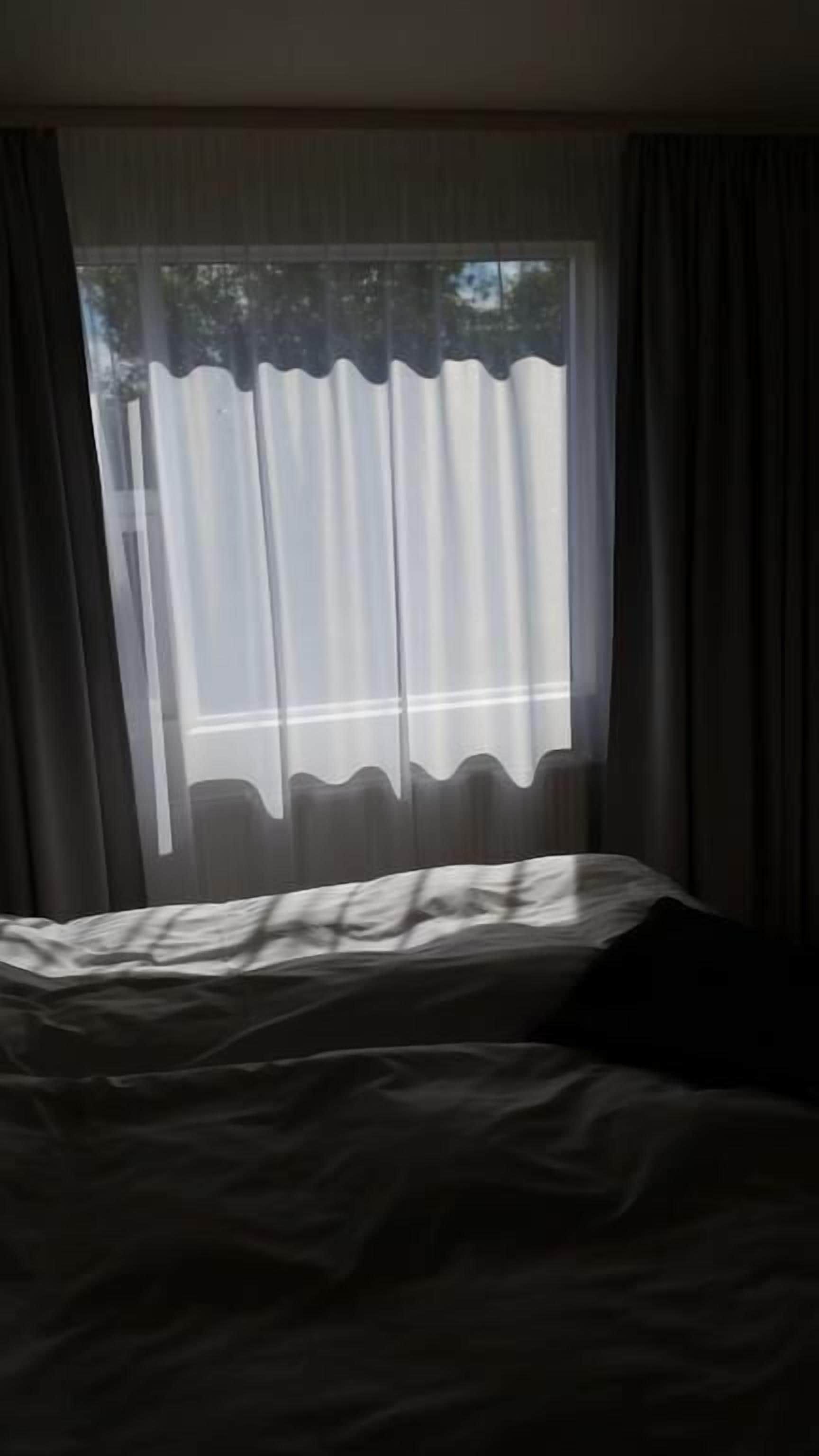 A room with a bed, a window with sheer curtains, and a view of trees outside.