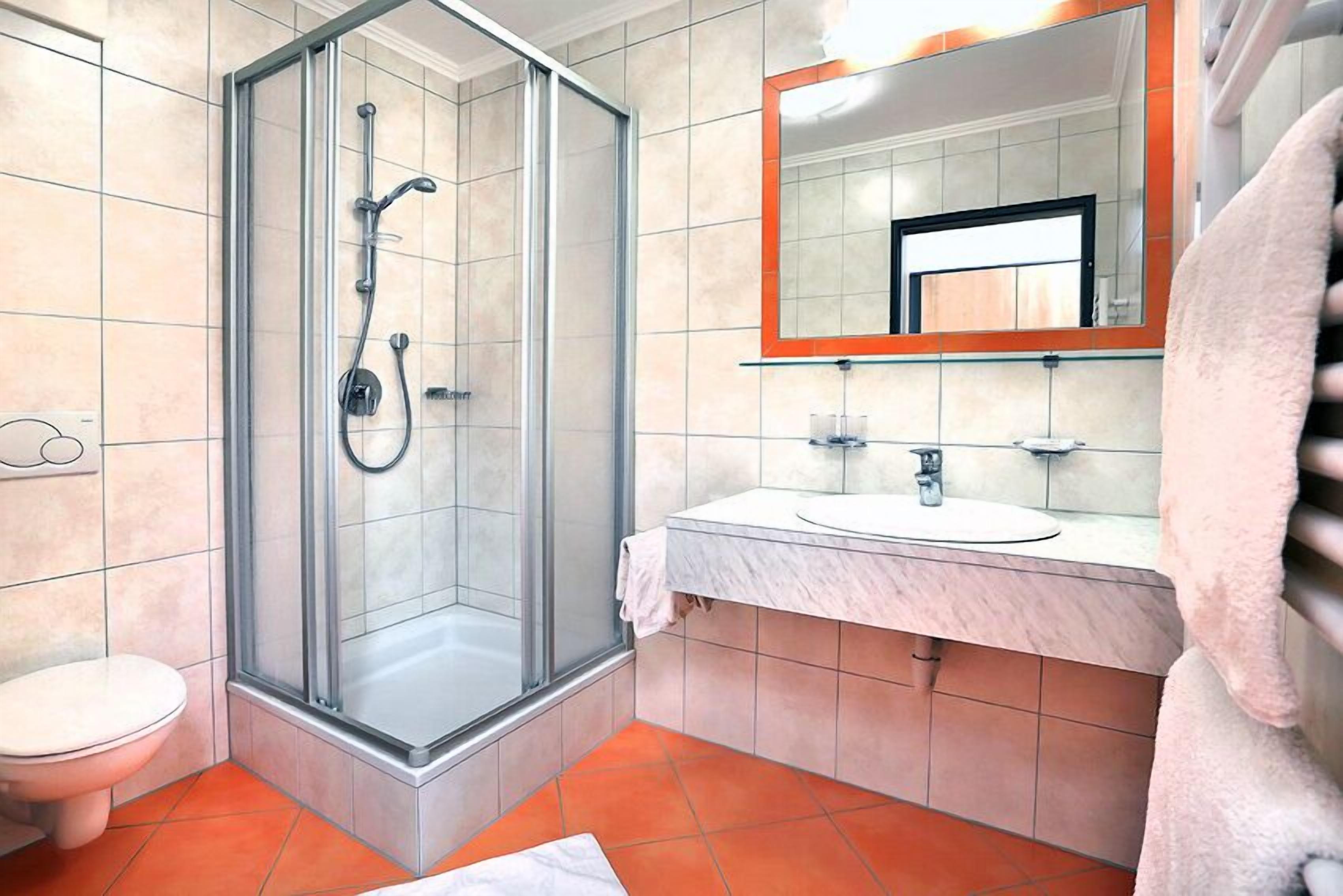 Ein Badezimmer mit einer Duschkabine, einer weißen Toilette und einem Waschbecken mit Spiegel darüber.