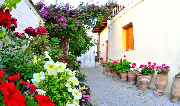 Terrain de lâhĂ©bergement