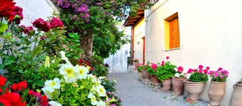 Villa Alagonia