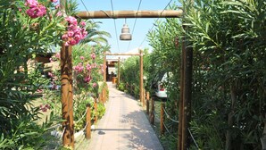 Un sentier bordé de poteaux en bois et de cordes, qui mène à une structure sur laquelle est suspendu un luminaire.