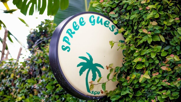 A sign with the text "SPREE GUESS" and a palm tree graphic, surrounded by greenery. - Spree Guest House (Ndola)