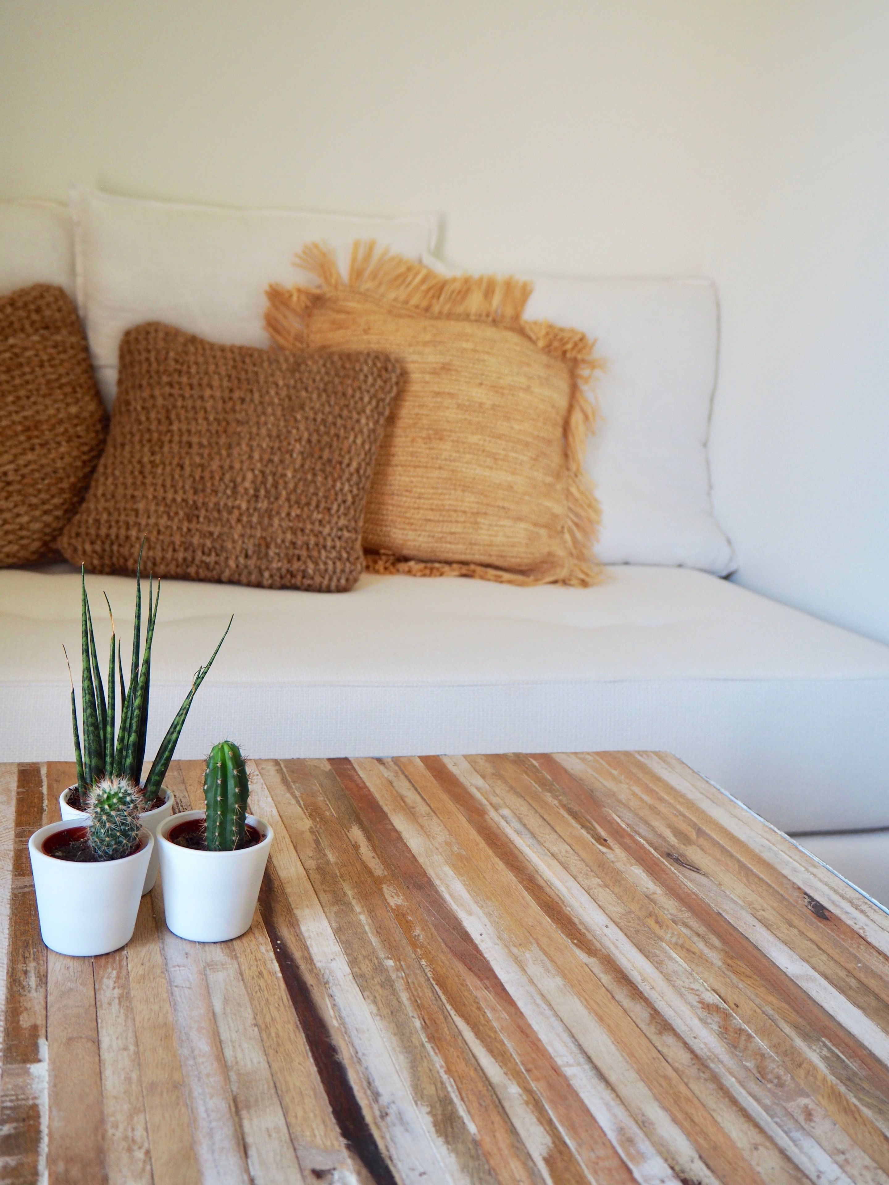 Un canapé blanc avec deux coussins marron et trois plantes en pot placés sur une table en bois.