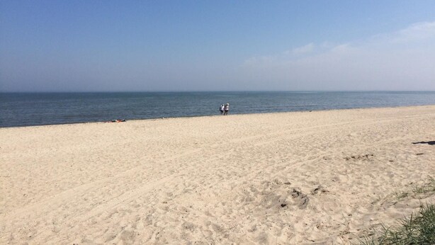 해변