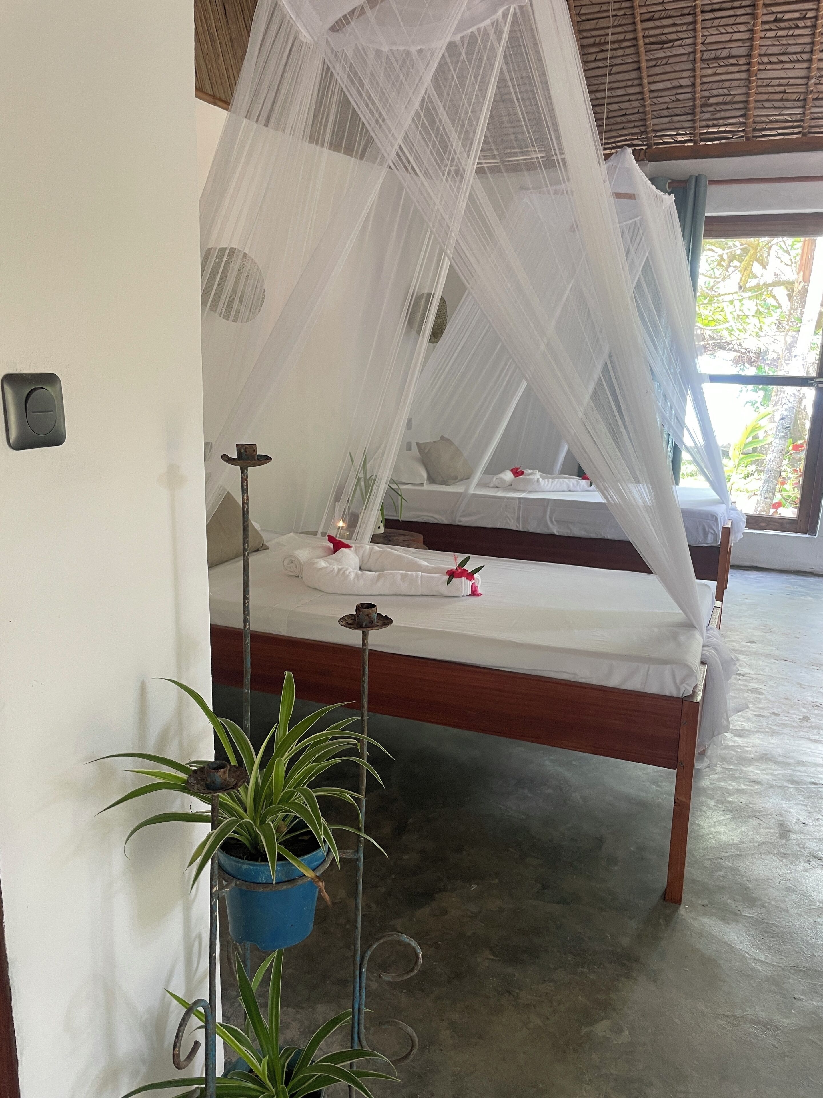 Una habitación con una cama bajo un dosel blanco, una planta en maceta y una mesita con una vela.