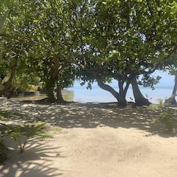 On the beach