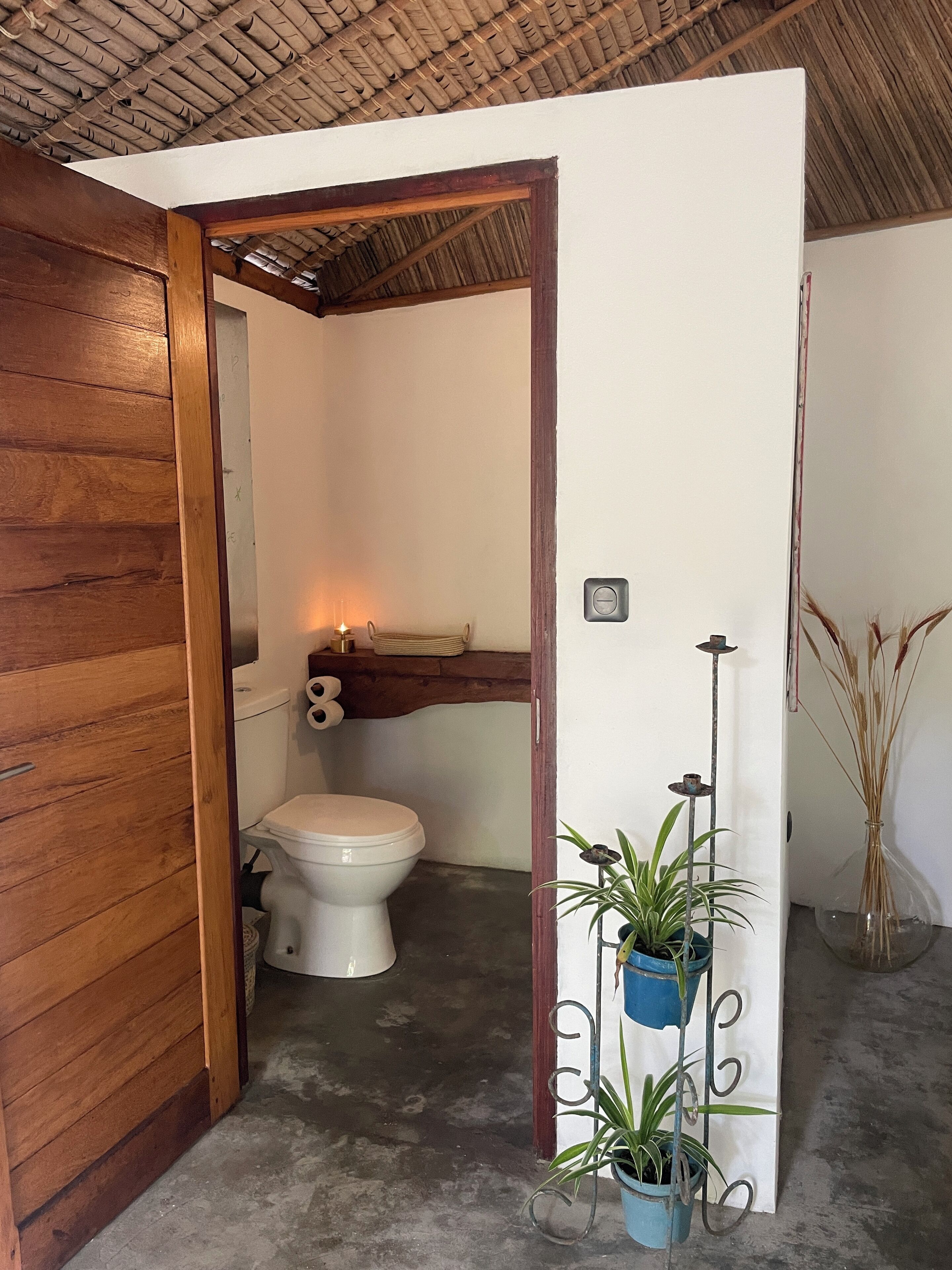 Un baño pequeño con inodoro, un estante con artículos de aseo y algunas plantas en macetas.