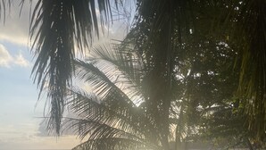 Una playa con una sola silla de plástico bajo una palmera, un mar tranquilo y el sol poniéndose al fondo.