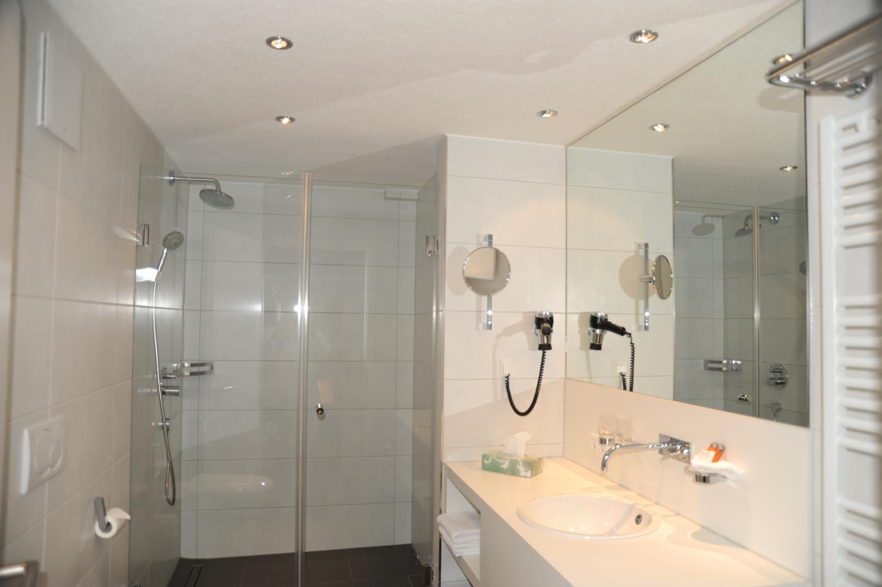 shower, free toiletries, hair dryer, towels