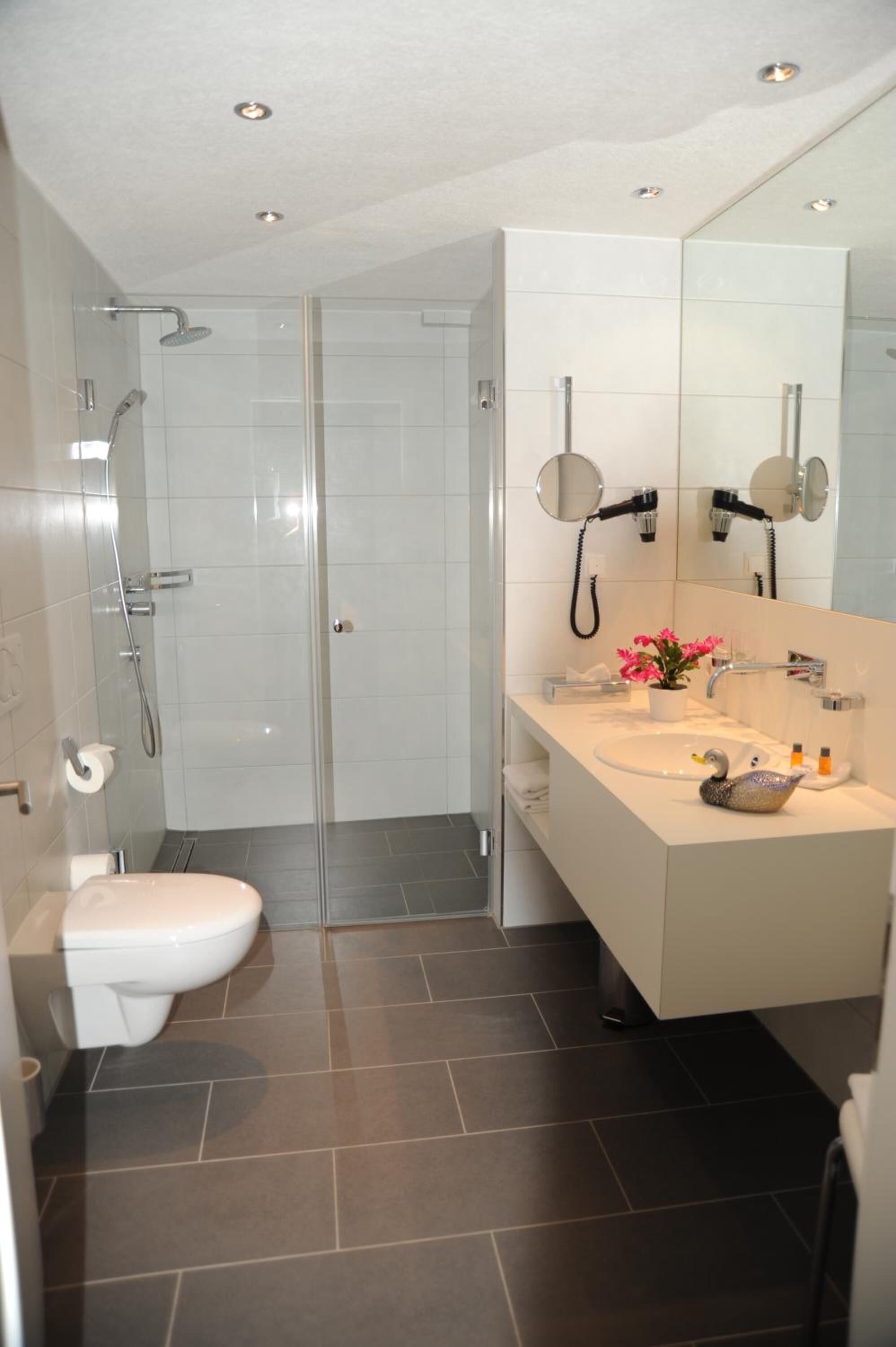 shower, free toiletries, hair dryer, towels