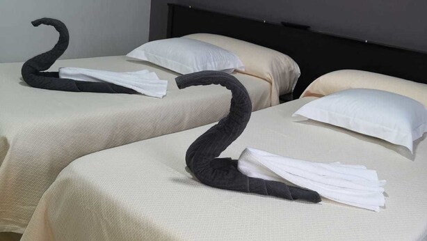 Two beds with white linens and black swan-shaped towels.