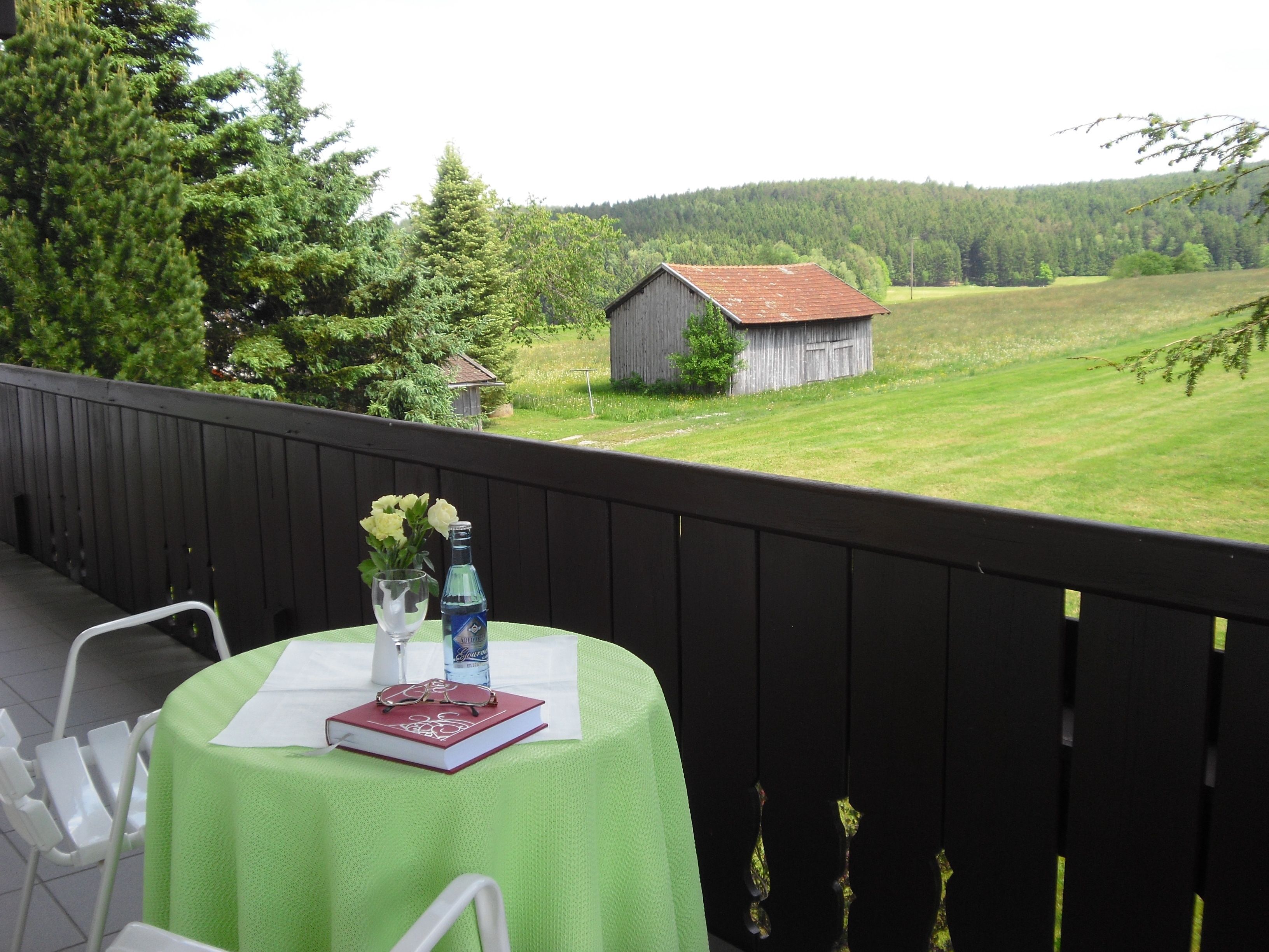 A balcony with a green tablecloth, a book, a vase with flowers, and a bottle.