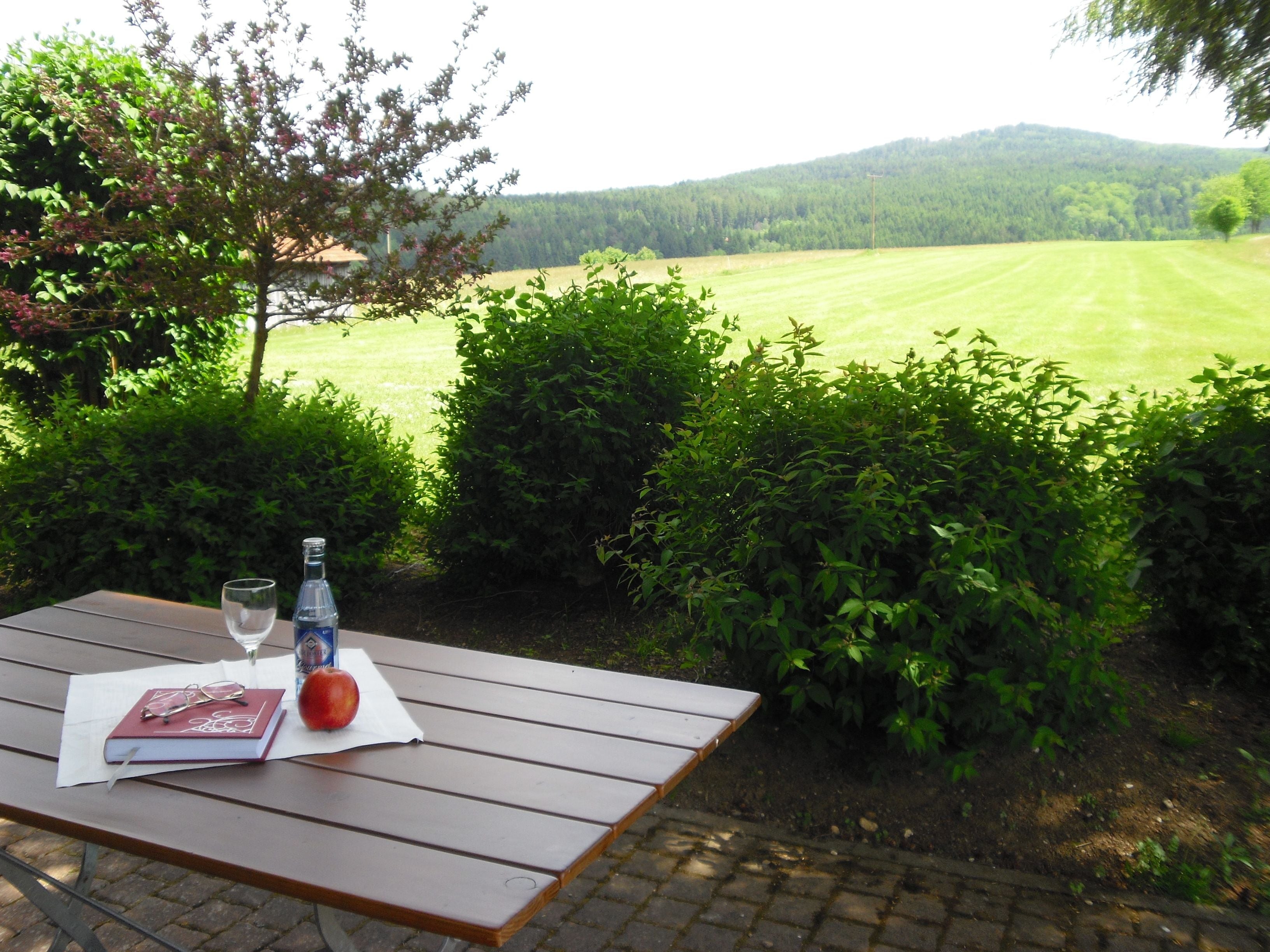 Doppelzimmer, Terrasse | Terrasse/Patio