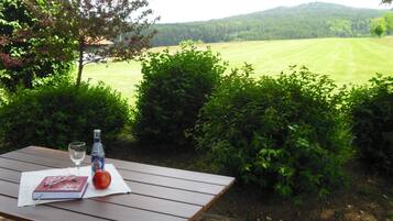 Doppelzimmer, Terrasse | Terrasse/Patio