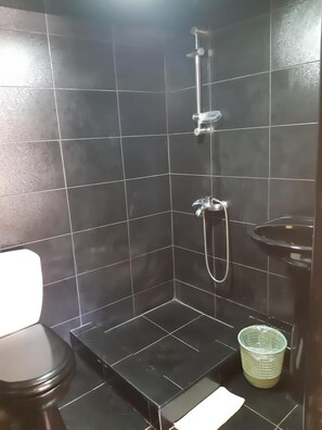 Regadera, secadora de cabello, bidet, toallas 