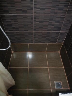 Douche, séchoir à cheveux, bidet, serviettes fournies