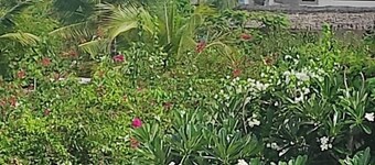 Pole Pole Beach House