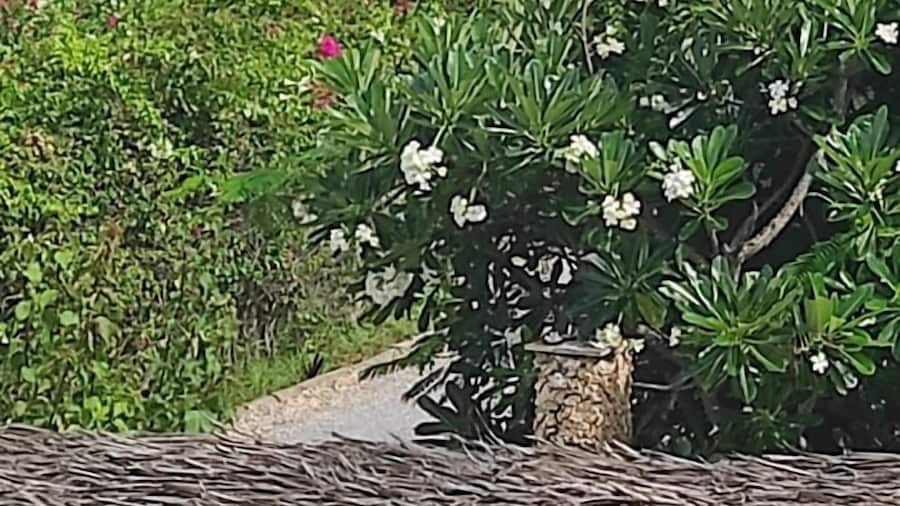 北极极点海滩别墅酒店