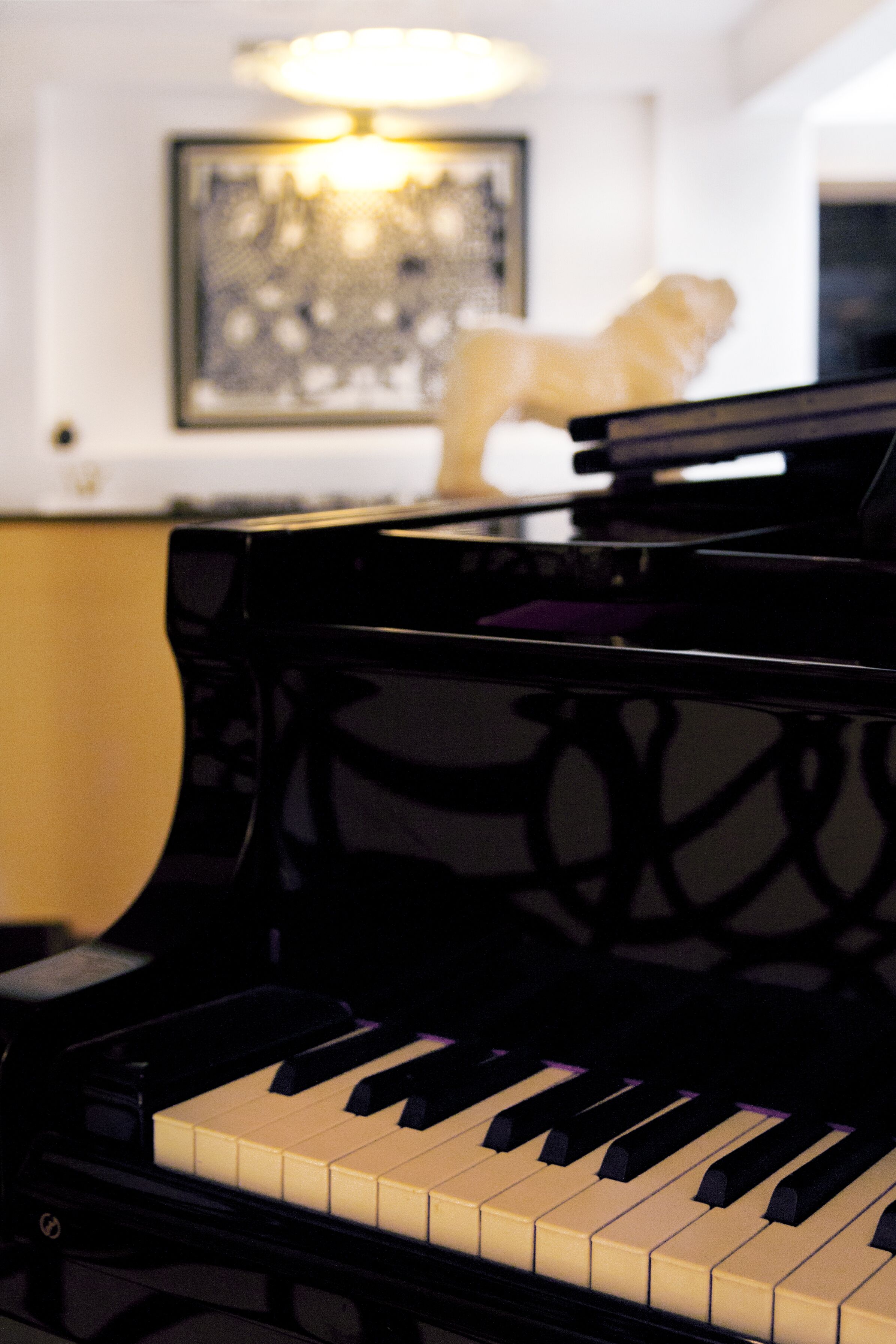 Foto - Riad Dar Saba - Saba's House