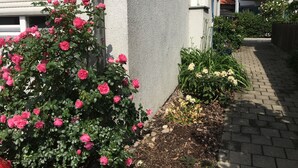 Een gebouw met een grijze buitenmuur en een tuin met roze rozen en andere planten.