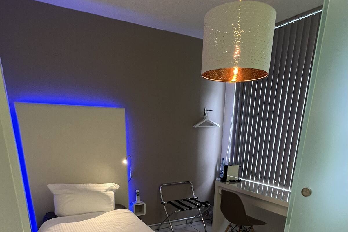 Business Single Room, Non Smoking | Individually decorated, individually furnished, desk, laptop workspace