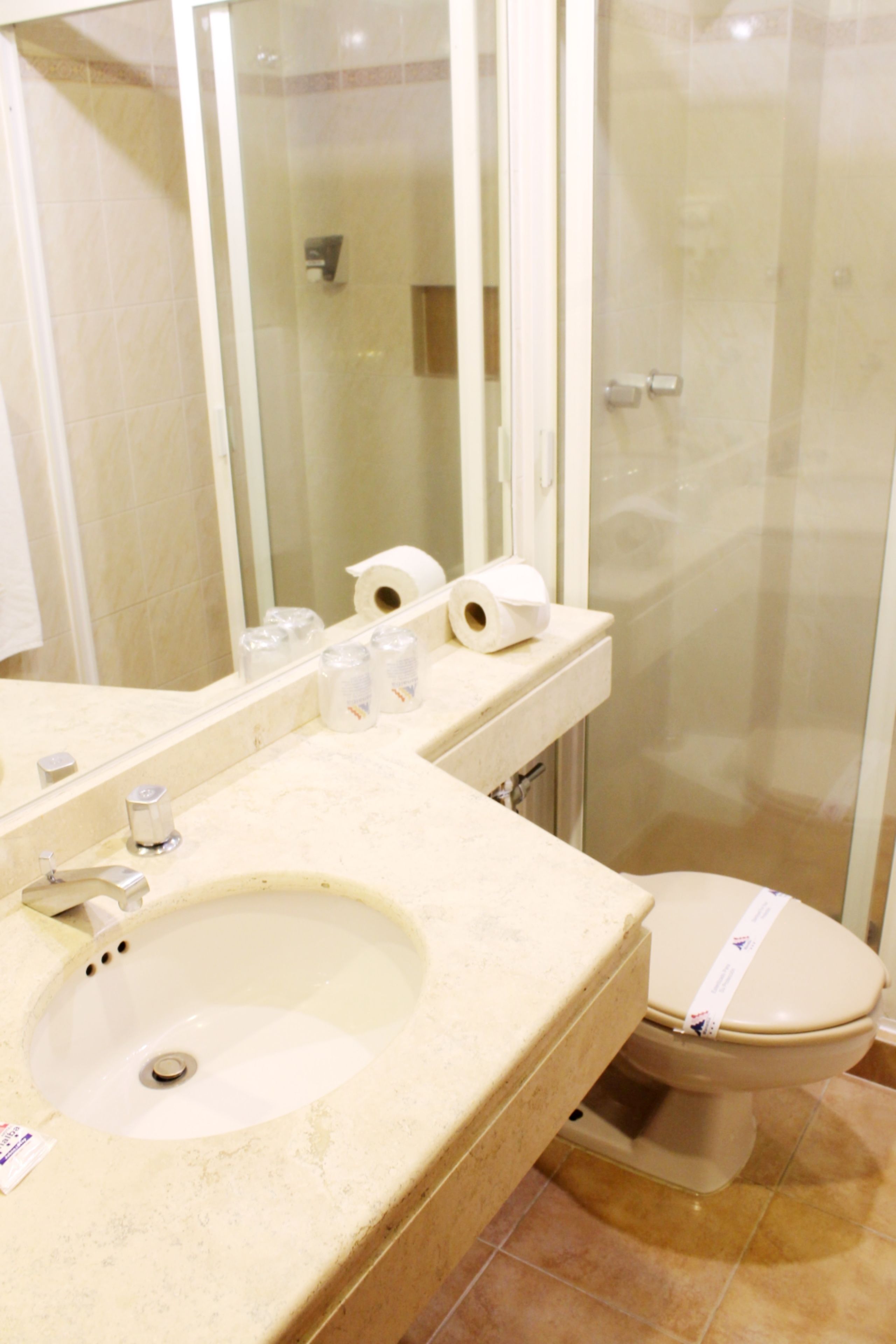 shower, free toiletries, hair dryer, bidet