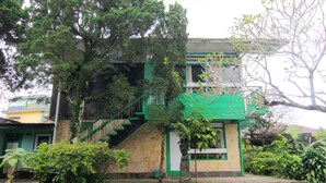 A building with a green and yellow facade, a staircase leading to the entrance, and a small garden area with various plants. - Vogels Hostel (Pakem)