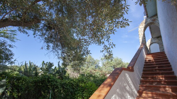 Exterior detail - Quadrilocale San Teodoro con Terrazza (San Teodoro)