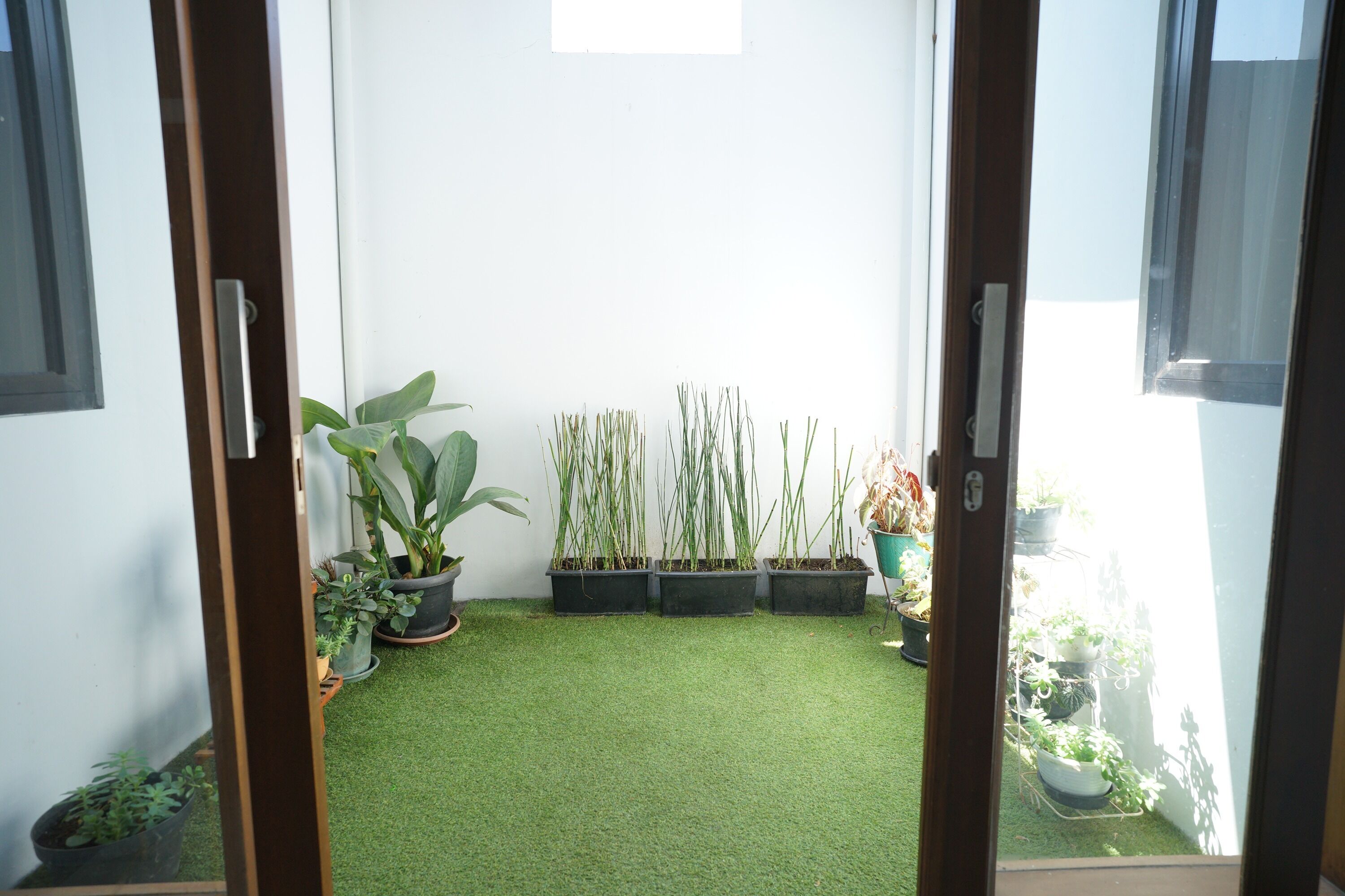 Un pequeño jardín interior con césped artificial y plantas en macetas.