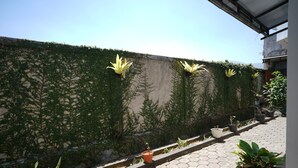 Zona ajardinada con plantas en macetas y un muro de hormigón cubierto de vegetación.