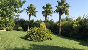 A well-maintained garden with palm trees, a neatly trimmed lawn, and a variety of shrubs.