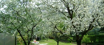 House with large garden 3 bedrooms on 140m² for families (dog-friendly)