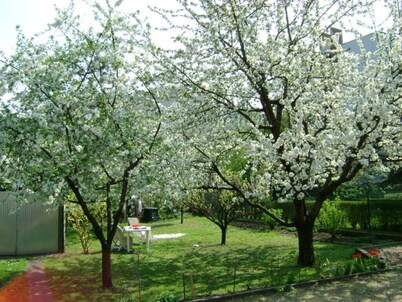House with large garden 3 bedrooms on 140m² for families (dog-friendly)