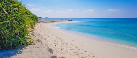 Plage à proximité